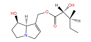 (2R,3S)-9-(2-Hydroxy-3-methylpentanoyl)-retronecine